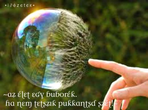 images_8.jpg